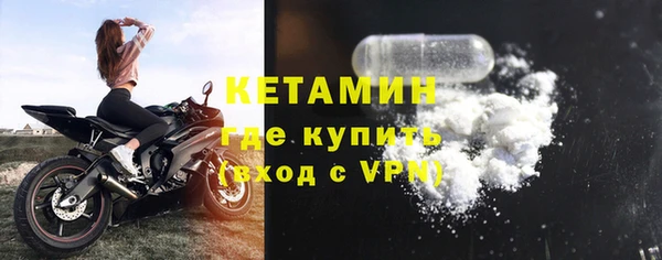 индика Белокуриха