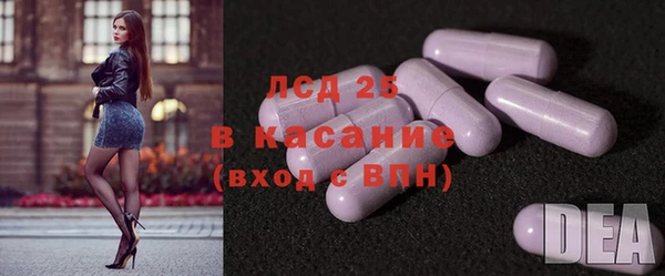 индика Белокуриха