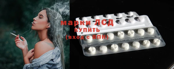 индика Белокуриха
