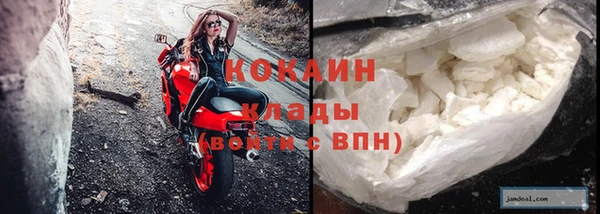 индика Белокуриха