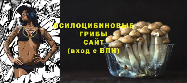 индика Белокуриха